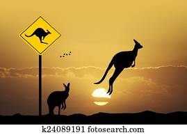 Kangaroo sign caution Kangaroo sign caution