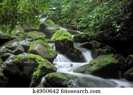 Nature View Nature View
