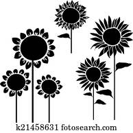 silhouettes of sunflowers vector silhouettes of sunflowers vector