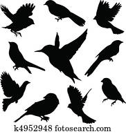 θέτω, birds., μικροβιοφορέας