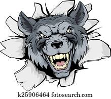 זאב, קמיע, שבור, out