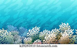 Coral Reef Pattern Coral Reef Pattern