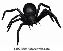 Fantasy Spider Fantasy Spider