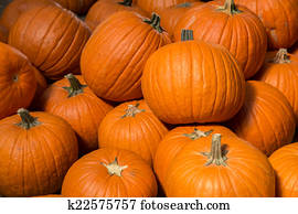 Pumpkins Pumpkins