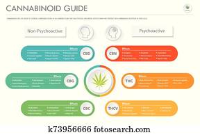 cannabinoid, כוון, אופקי, עסק, infographic