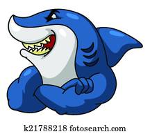 Shark Shark