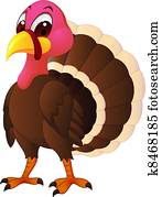 Turkey Turkey