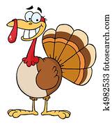 הודיה תורכיה, צפור, לחייך