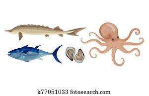 לא מבושל, ו, לא מבושל, מאכלי ים, וקטור, set., טרי, של ים, מוצרים, ל, שווק