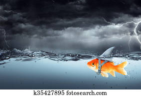 קטן, fish, עם, שאפתנויות, של, a, גדול