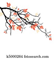 autumn leaves autumn leaves