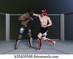 Boxer Boxer