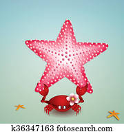 Crab with starfish Crab with starfish