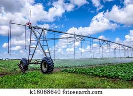 irrigação, de, terra cultivada