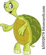 Turtle Turtle