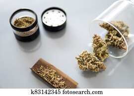 Sativa Indica medical health. Marijuana nature bud THC CBD . The pot leaves on buds. Sativa Indica medical health. Marijuana nature bud THC CBD . The pot leaves on buds.