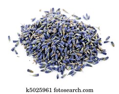 Dried lavender herb flowers Dried lavender herb flowers