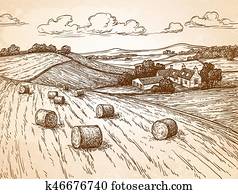 Field with haystacks. Field with haystacks.