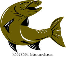 muskie, peixe, vista dianteira