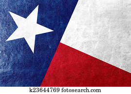 Texas State Flag painted on leather texture Texas State Flag painted on leather texture