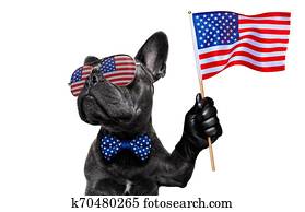 יום עצמאות, *רביעי של יולי, כלב