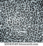 BW Leopard skin background or texture BW Leopard skin background or texture