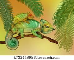 chameleons in the forest chameleons in the forest