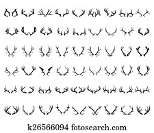 deer horns deer horns