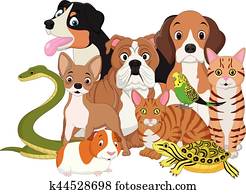 Group of pets cartoon Group of pets cartoon