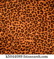 Leopard skin background or texture Leopard skin background or texture