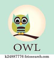 Owl Owl