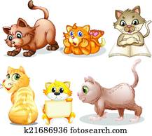 Cat set Cat set