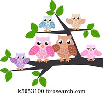 eule, familie eule, familie