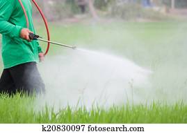 insecticides and pesticides for rice and corn