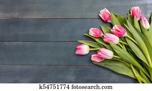 נשים, day., ורוד, צבעוניים, ב, כחול, background,, העתק, space,, הציין השקפה