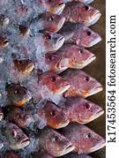 Fresh fish on ice for sale at market