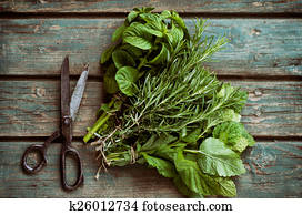 Fresh herbs Fresh herbs