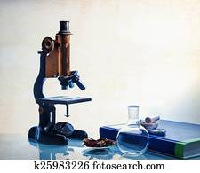 ciência, educação