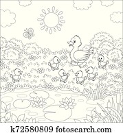 ente, und, entenbabys ente, und, entenbabys