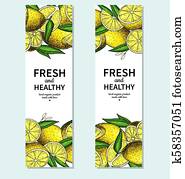 Lemon banner vector drawing. Citrus fruit frame template. Lemon banner vector drawing. Citrus fruit frame template.