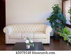 modernes, inneneinrichtung, mit, sofa