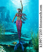 Ocean Mermaid Ocean Mermaid