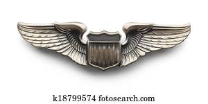 Pilot Wings Pilot Wings