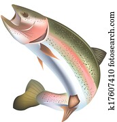 Clip Art of , animal, fish, species, trout, u11450656 - Search Clipart ...