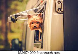RV Travel with Dog RV Travel with Dog