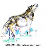wolf color drawing wolf color drawing