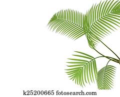 熱帯 植物 イラスト K Fotosearch