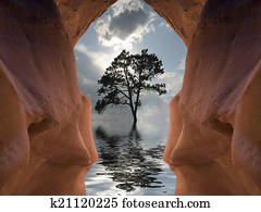 Desert Flood Desert Flood