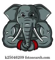 Elephant Mascot Elephant Mascot