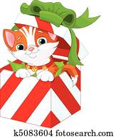Kitten in a Christmas gift box